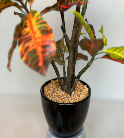 Artificial Croton Plant With Ceramic Pot