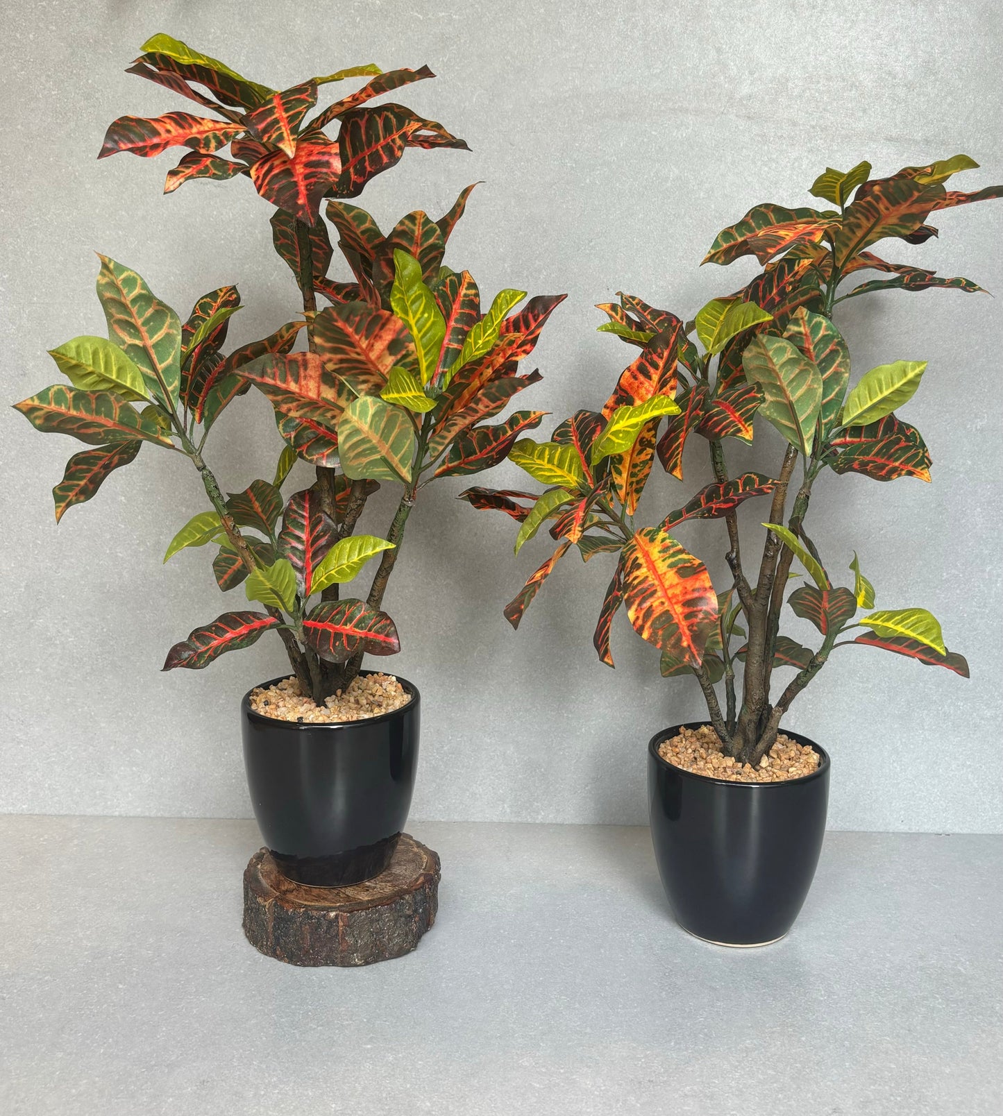 Artificial Croton Plant With Ceramic Pot