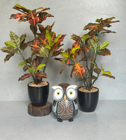Artificial Croton Plant With Ceramic Pot