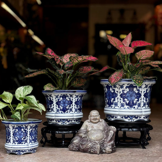 Blue And White Porcelain Floral Round Planter