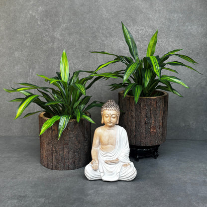 Artificial Dracaena Potted Plant