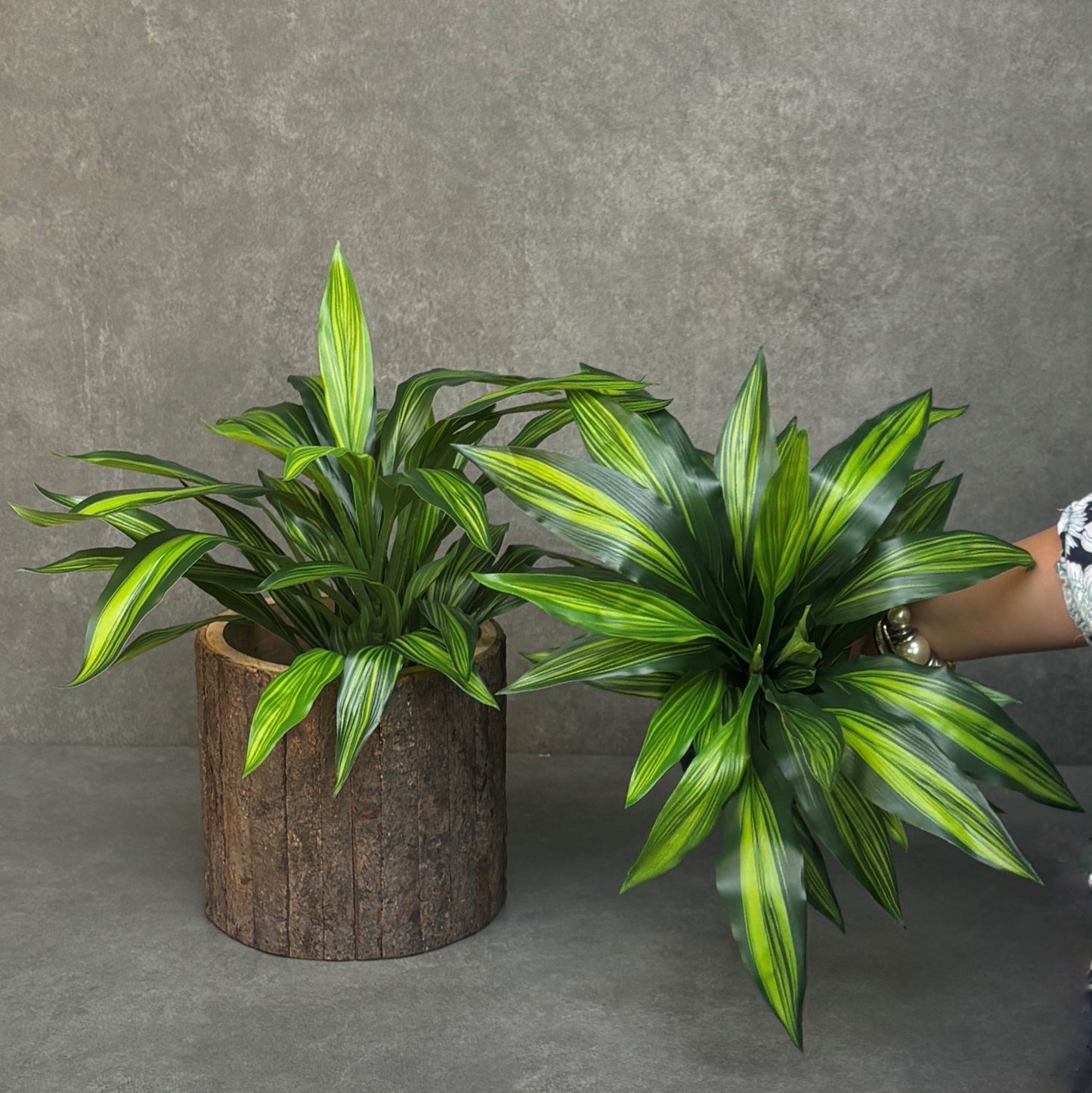 Artificial Dracaena Potted Plant