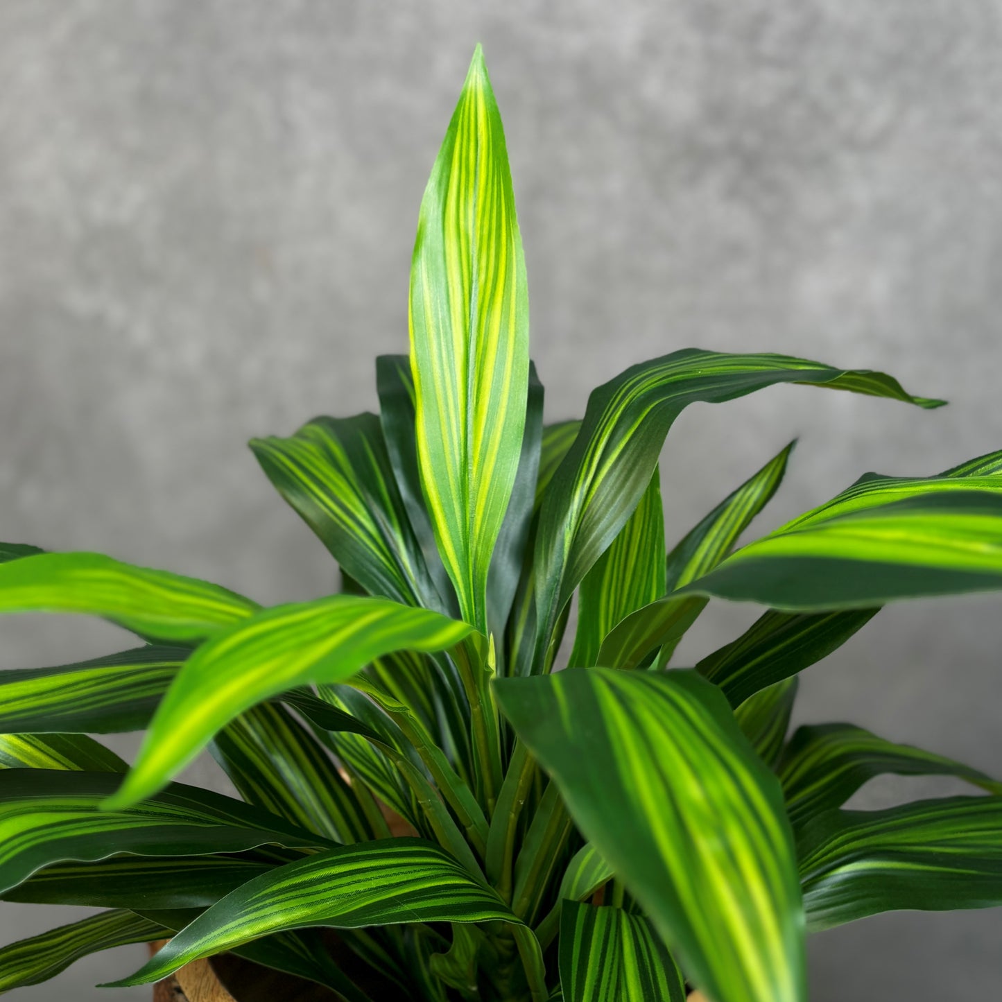 Artificial Dracaena Potted Plant