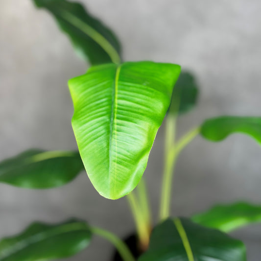 Artificial Banana Leaf Potted Plant