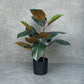 Artificial Rubber Potted Plant