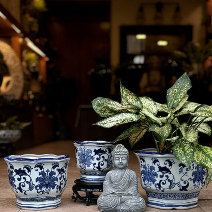 Blue And White Hexagonal Ceramic Planter