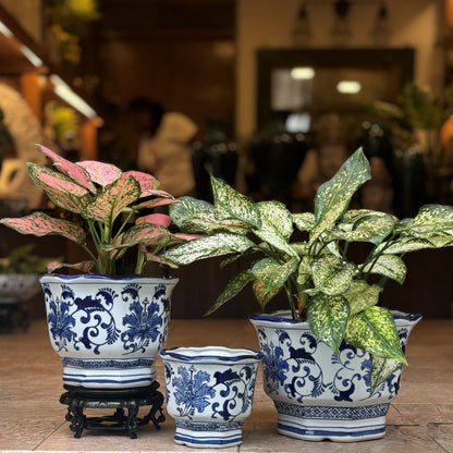 Blue And White Hexagonal Ceramic Planter