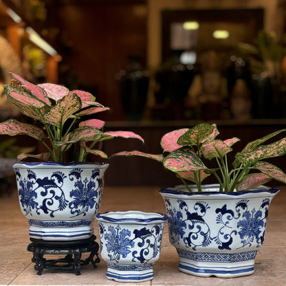 Blue And White Hexagonal Ceramic Planter