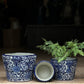 Blue And White Flower Ceramic Planter