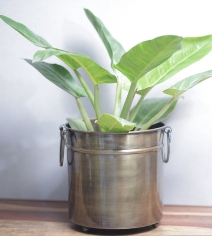 Vintage Brass Planter