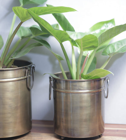 Vintage Brass Planter