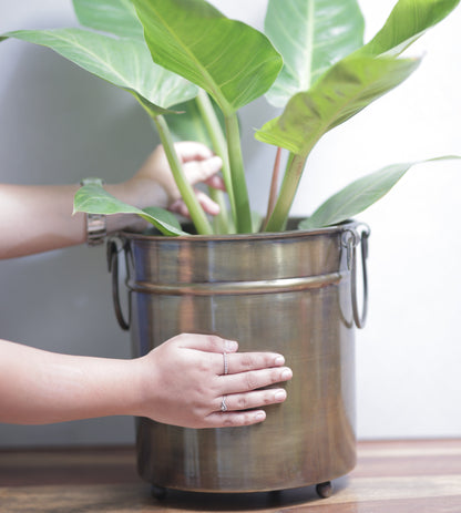 Vintage Brass Planter