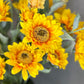 Artificial Sunflower Stem