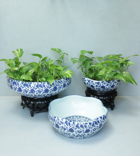 Blue & White Porcelain Floral Bowl