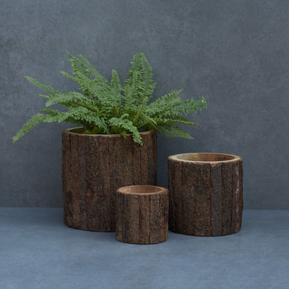 Wooden Bark Planter/ Base