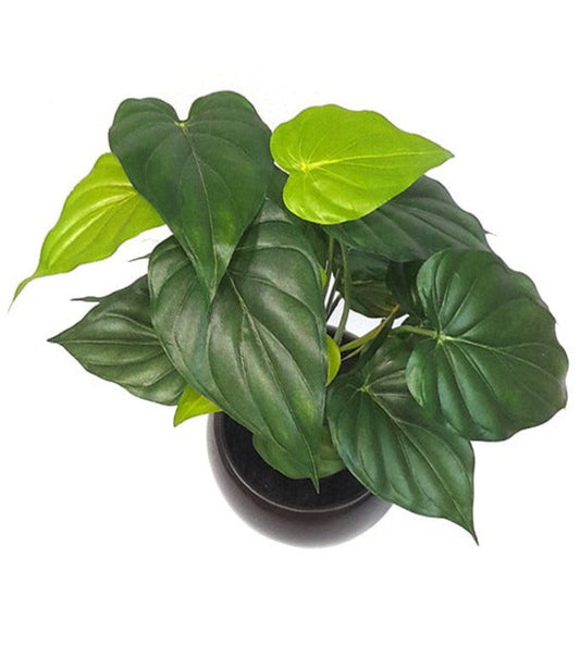 Artificial Alocasia Green Plant
