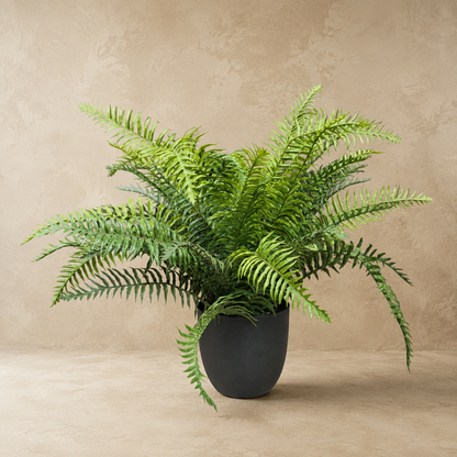 Front view of an artificial Boston fern in a black planter on a neutral background for indoor home décor.