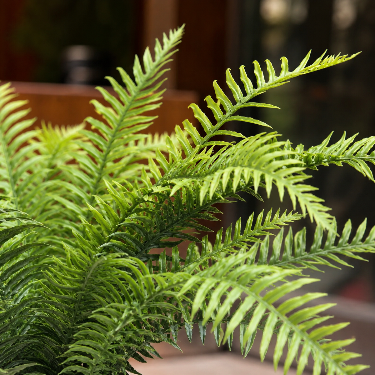 Close-up of realistic artificial Boston fern leaves with lifelike green foliage and natural texture.