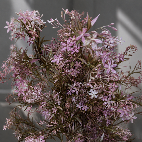 Artificial Flower Asparagus Stem Lavender