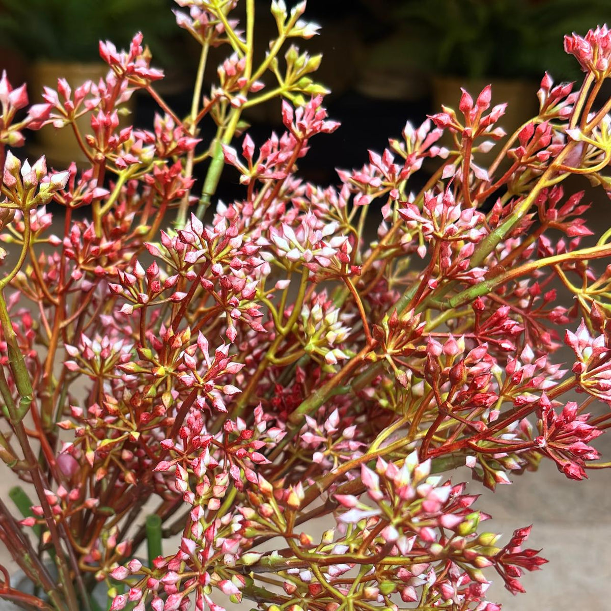 Artificial Flower Faux Filler Stem Red – close-up detail view | INARA