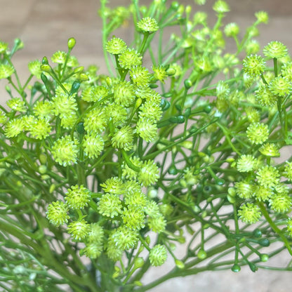 Close-up of realistic artificial green Baby Breath stem featuring lifelike miniature blooms and buds.