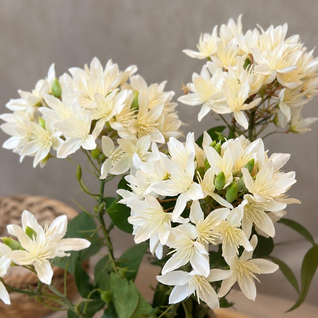 Close-up lifestyle image of delicate white clematis artificial flowers in a textured neutral vase, showcasing intricate petal detailing and soft natural styling.