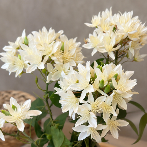 Artificial Flower Star Cluster Stem White