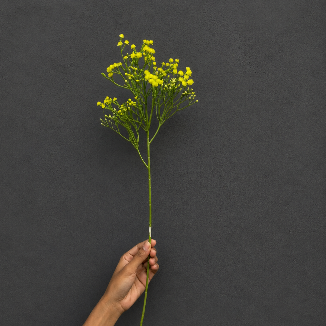 Single Artificial Yellow Baby's Breath stem with realistic flowers and flexible green stem for floral arrangements and home décor.