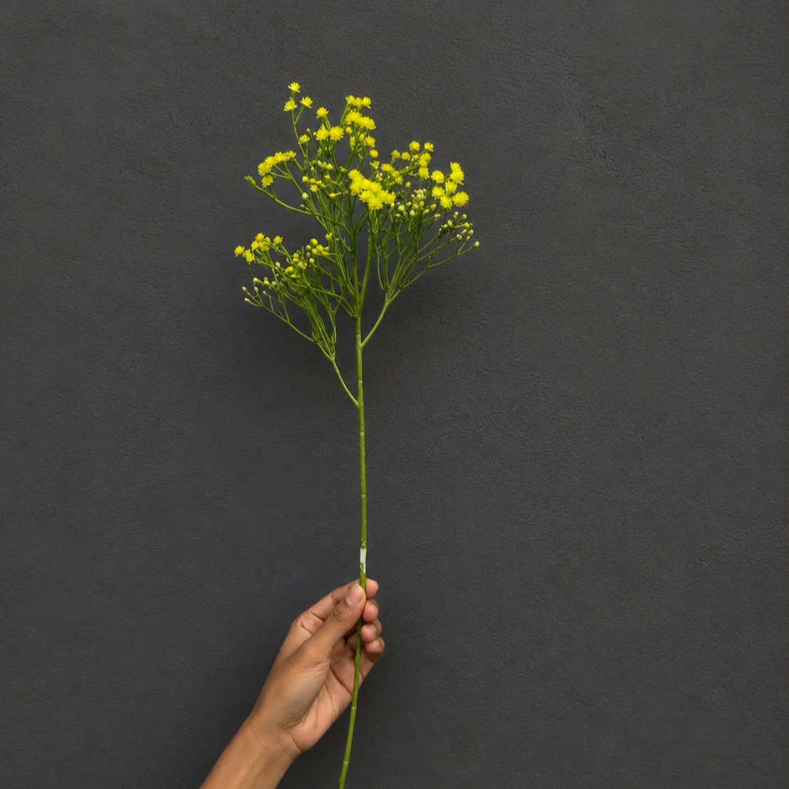 Single Artificial Yellow Baby's Breath stem with realistic flowers and flexible green stem for floral arrangements and home décor.