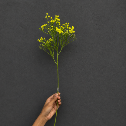 Single Artificial Yellow Baby's Breath stem with realistic flowers and flexible green stem for floral arrangements and home décor.