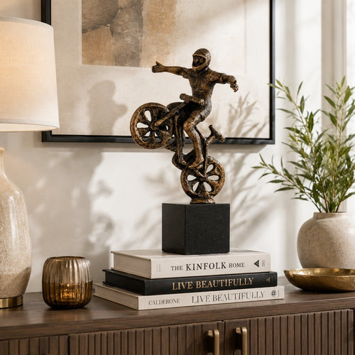 Bicycle Man Sculpture – Enhance the charm of your living space with our exquisite Bicycle Man Sculpture | INARA