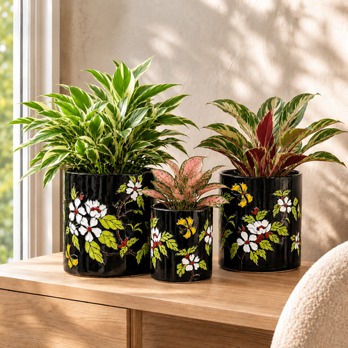 Hand-painted black ceramic planter set featuring a variegated peace lily, pink aglaonema, and red aglaonema in a premium indoor décor setting.