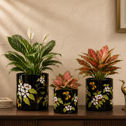 Luxury black hand-painted ceramic planter collection with flowering peace lily, pink aglaonema, and red aglaonema displayed on a wooden console for elegant home décor.