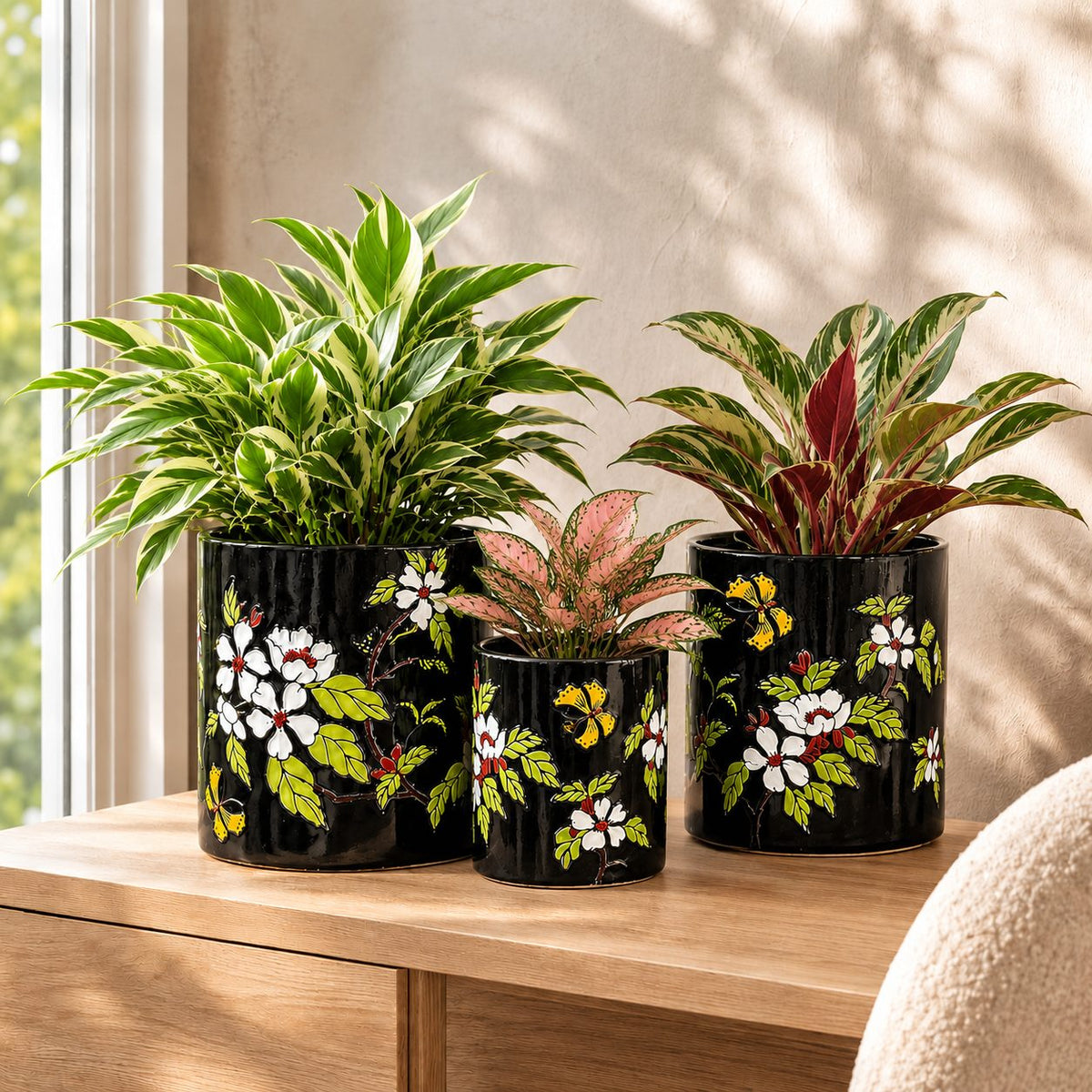 Hand-painted black ceramic planter set featuring a variegated peace lily, pink aglaonema, and red aglaonema in a premium indoor décor setting.