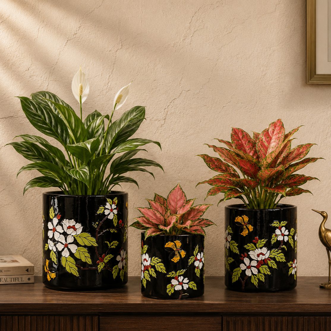 Luxury black hand-painted ceramic planter collection with flowering peace lily, pink aglaonema, and red aglaonema displayed on a wooden console for elegant home décor.