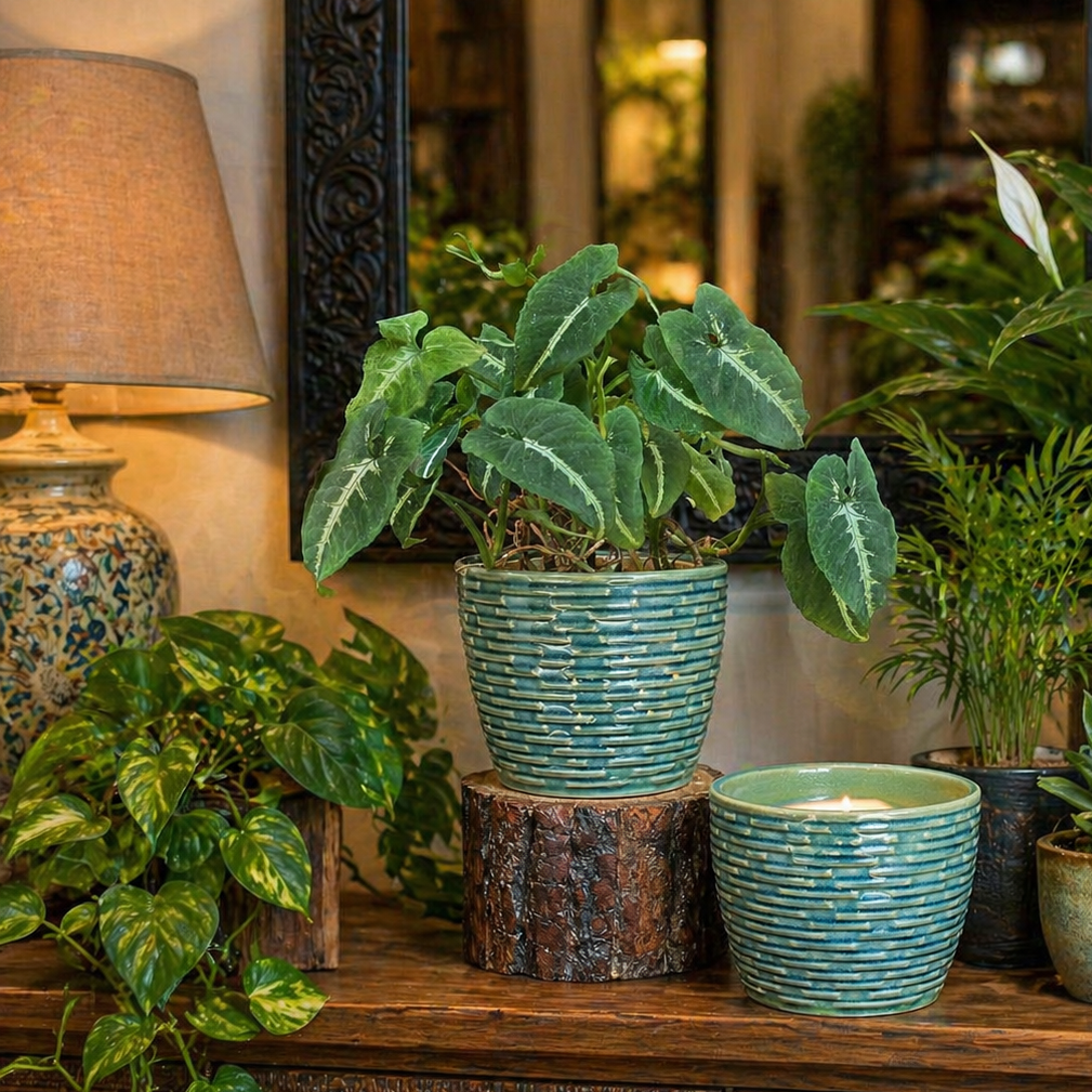 A premium blue horizon ceramic planter with a textured basket-weave pattern styled on a vintage wooden console alongside lush green indoor plants, a lit candle, and a traditional lamp in a warm, luxurious interior setting.