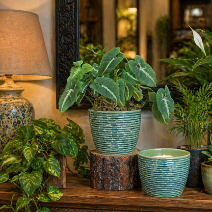 A premium blue horizon ceramic planter with a textured basket-weave pattern styled on a vintage wooden console alongside lush green indoor plants, a lit candle, and a traditional lamp in a warm, luxurious interior setting.