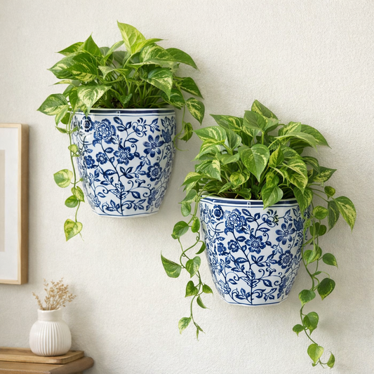 Blue and white floral ceramic wall planters with lush green money plants trailing from them, styled as decorative wall decor in a modern indoor space.