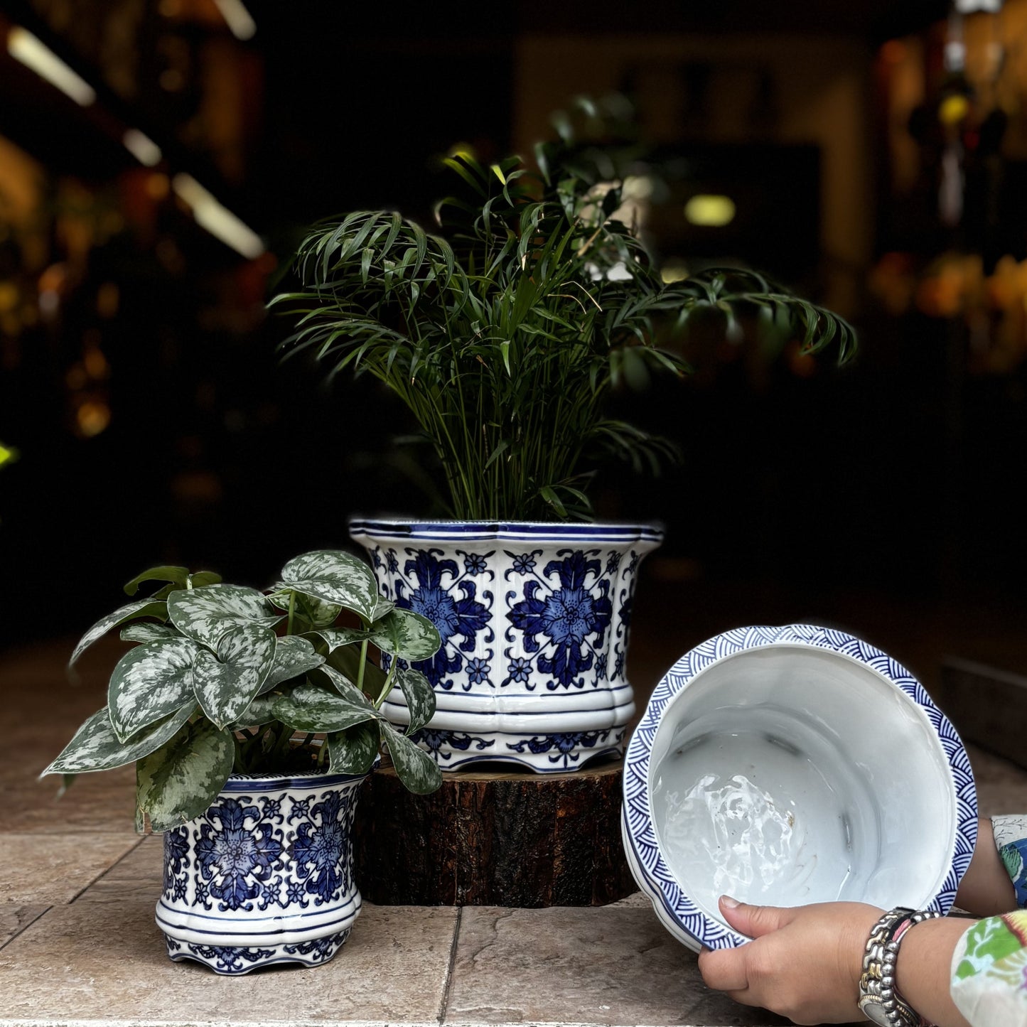 Hand-painted blue and white ceramic floral planters with indoor plants, showing decorative detailing and drainage hole in the planter.