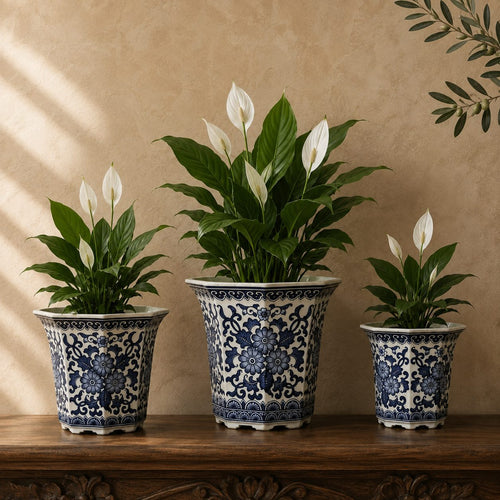 Blue and white hand-painted porcelain planter set displayed with lush Peace Lily plants on a carved wooden console in a luxury home interior.