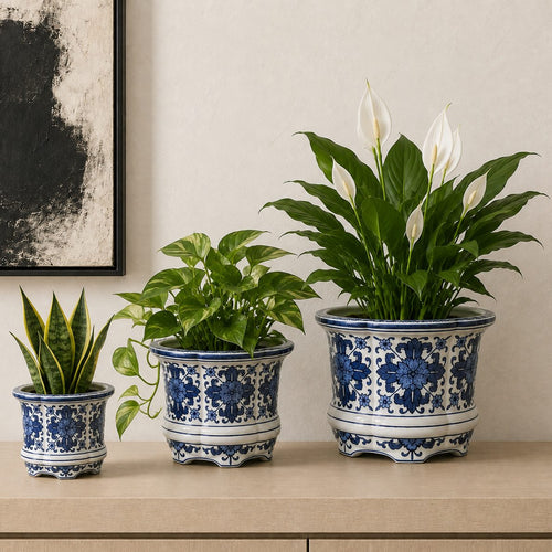 Blue and white hand-painted porcelain planter set styled with Snake Plant, Golden Pothos, and Peace Lily, creating an elegant indoor home décor display by Inara Home Decor.