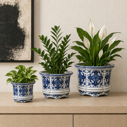Decorative blue and white porcelain planters styled with indoor plants including Pothos, ZZ Plant, and Peace Lily for a timeless luxury home décor setting.