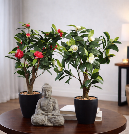 Artificial Camelia Plant With Ceramic Pot – Dust it with a brush to keep it looking fresh and green | INARA
