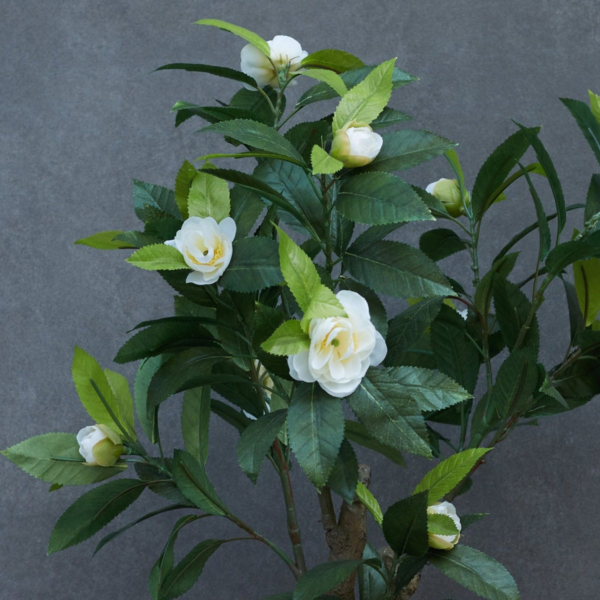Artificial Camelia Plant With Ceramic Pot – styled display view | INARA