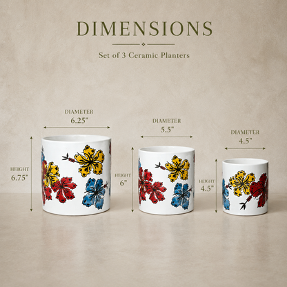 Dimensions guide for hand-painted ceramic planter set of 3 showing height and diameter measurements for each planter size.