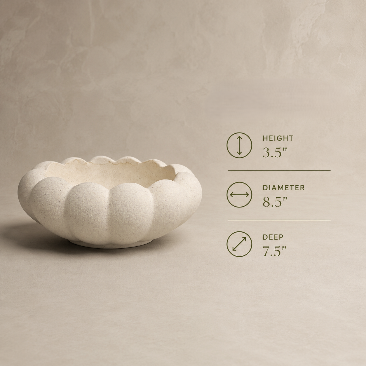 Dimensions infographic of the white scalloped ceramic decorative bowl showing height, diameter, and depth measurements.