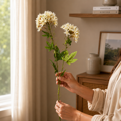Person holding elegant cream artificial flower stems in a warm neutral home interior with soft natural light and minimalist decor.