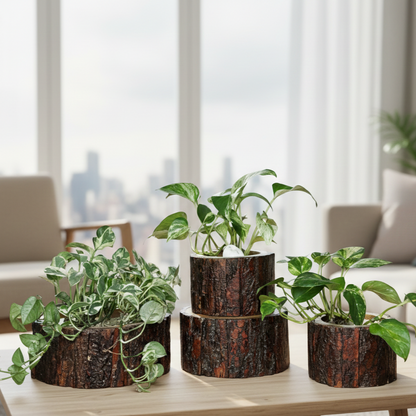 Handcrafted natural wood bark planter bases displayed with indoor pothos plants, perfect for rustic home décor, tabletop styling, and botanical displays.