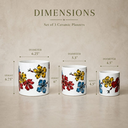 Dimensions guide for hand-painted ceramic planter set of 3 showing height and diameter measurements for each planter size.
