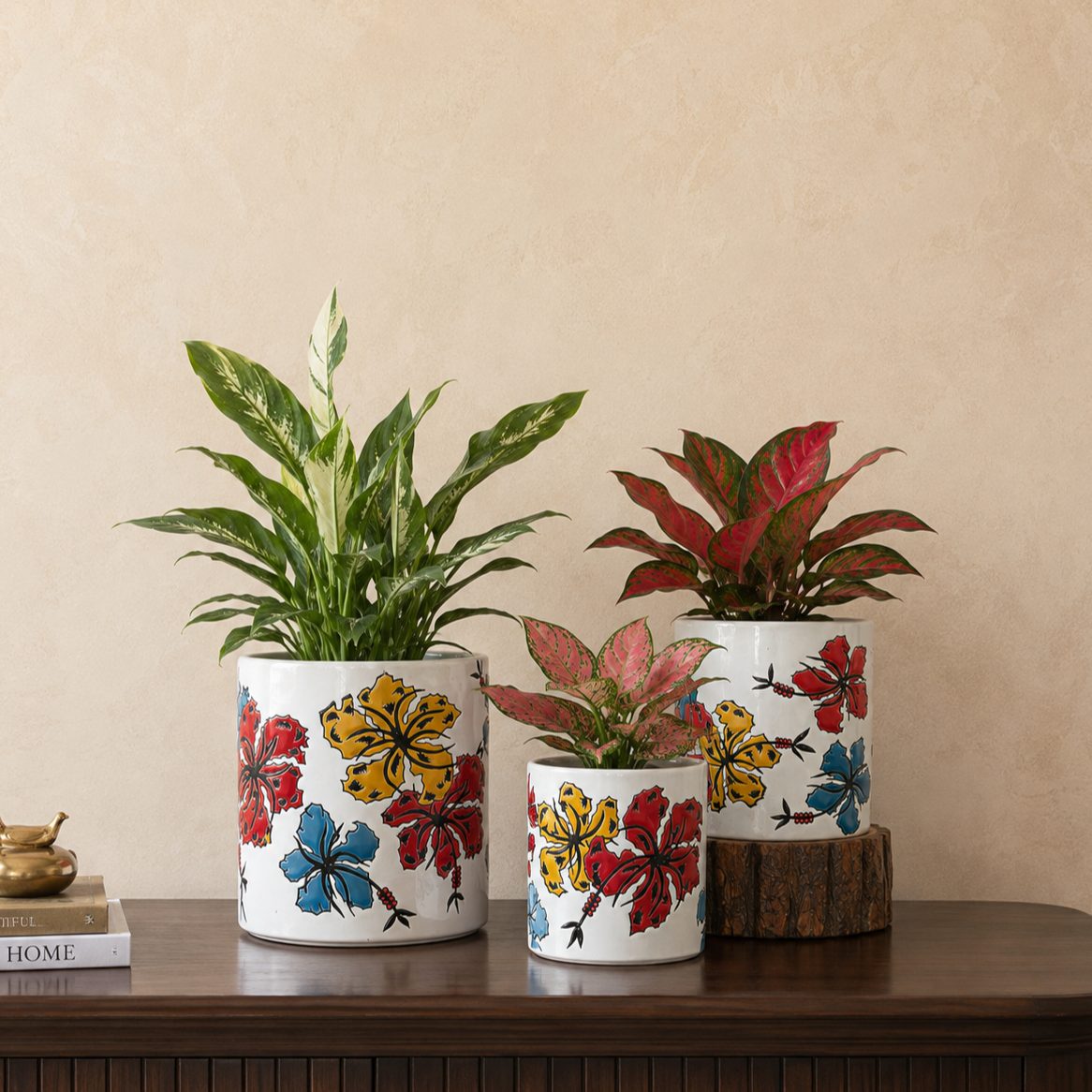 Hand-painted floral ceramic planter set with Peace Lily, Pink Aglaonema, and Red Aglaonema plants styled in a luxury home interior.